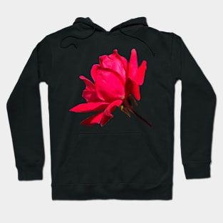 Bright Red Rose Flower Hoodie